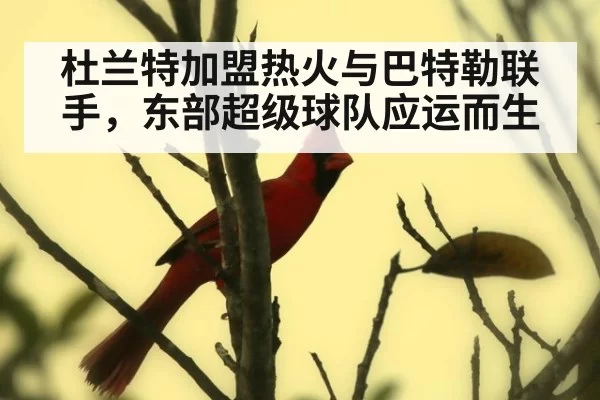 杜兰特加盟热火与巴特勒联手，东部超级球队应运而生