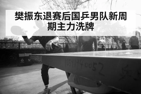 樊振东退赛后国乒男队新周期主力洗牌